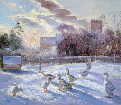 Winter Geese in Church Meadow by Timothy Easton